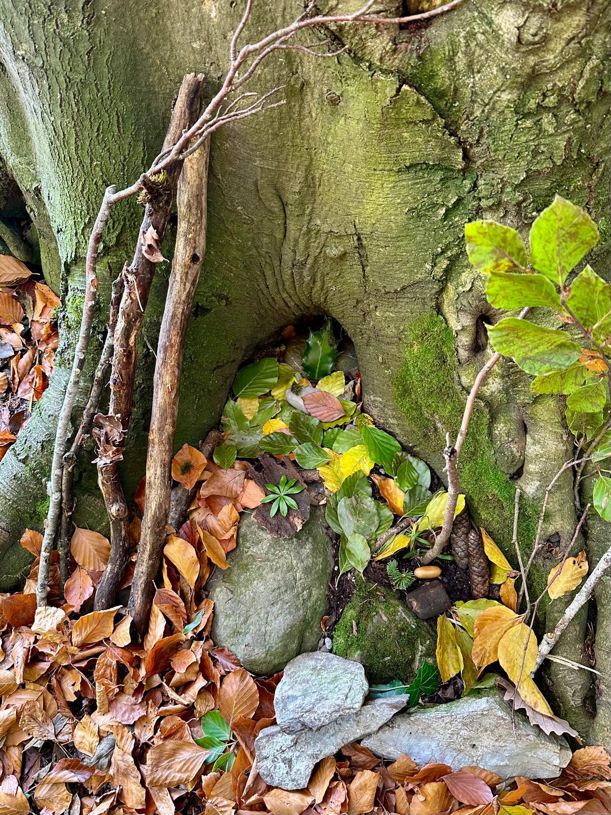 Herbstbummel in den B&uuml;rgwald