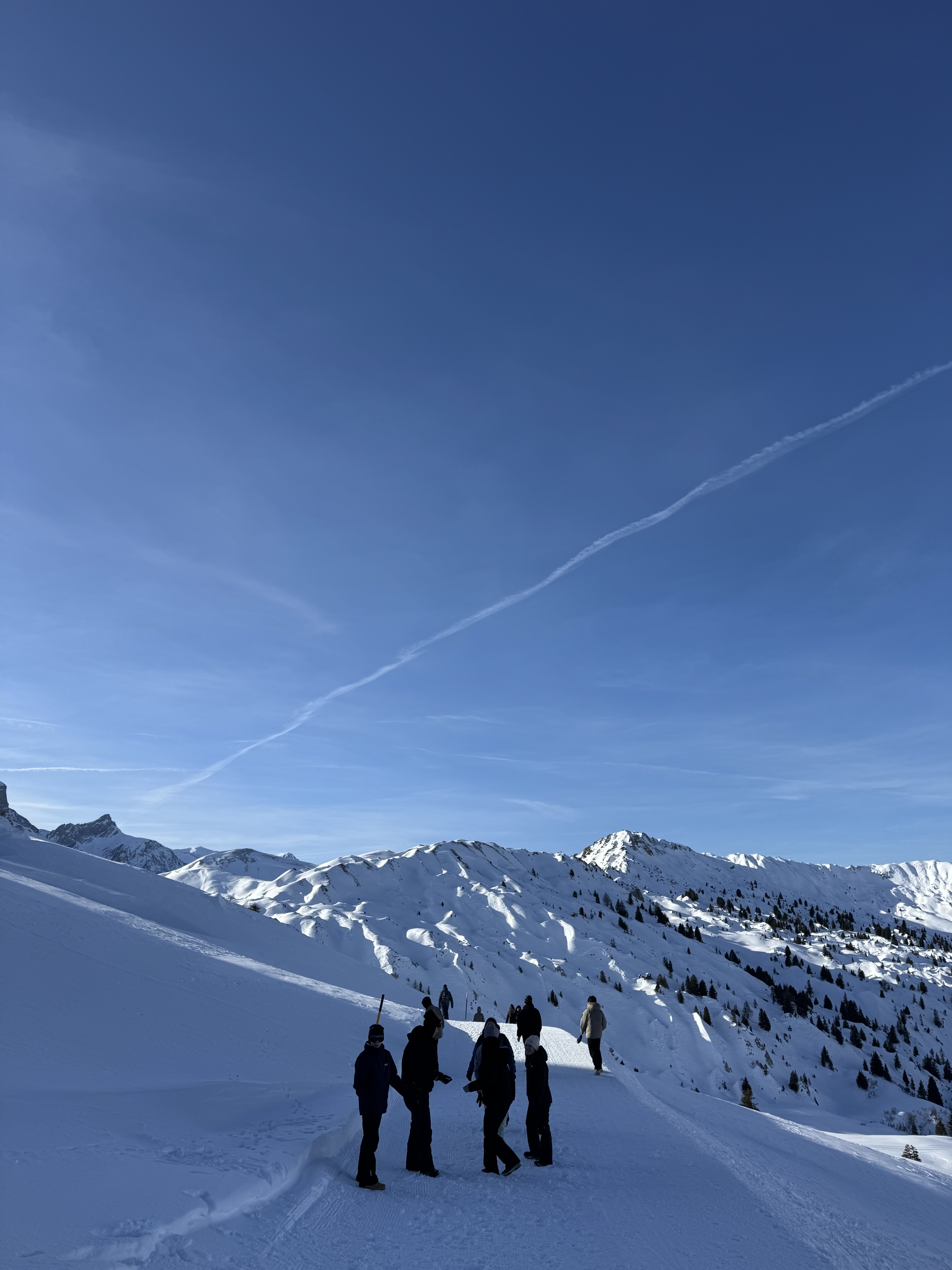 Piste gut, alles gut